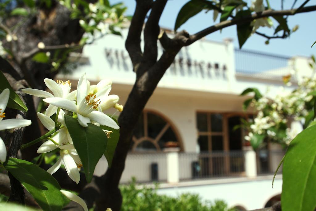 Park Hotel Villa Americana โรดิการ์กานิโก ภายนอก รูปภาพ